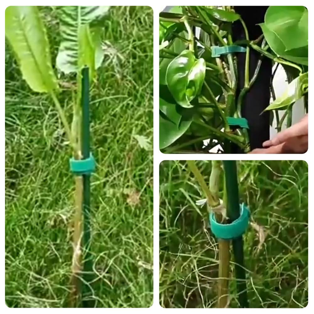 100 قطعة من روابط النباتات الق - مراجعة Velcro Hook Loop وسعره